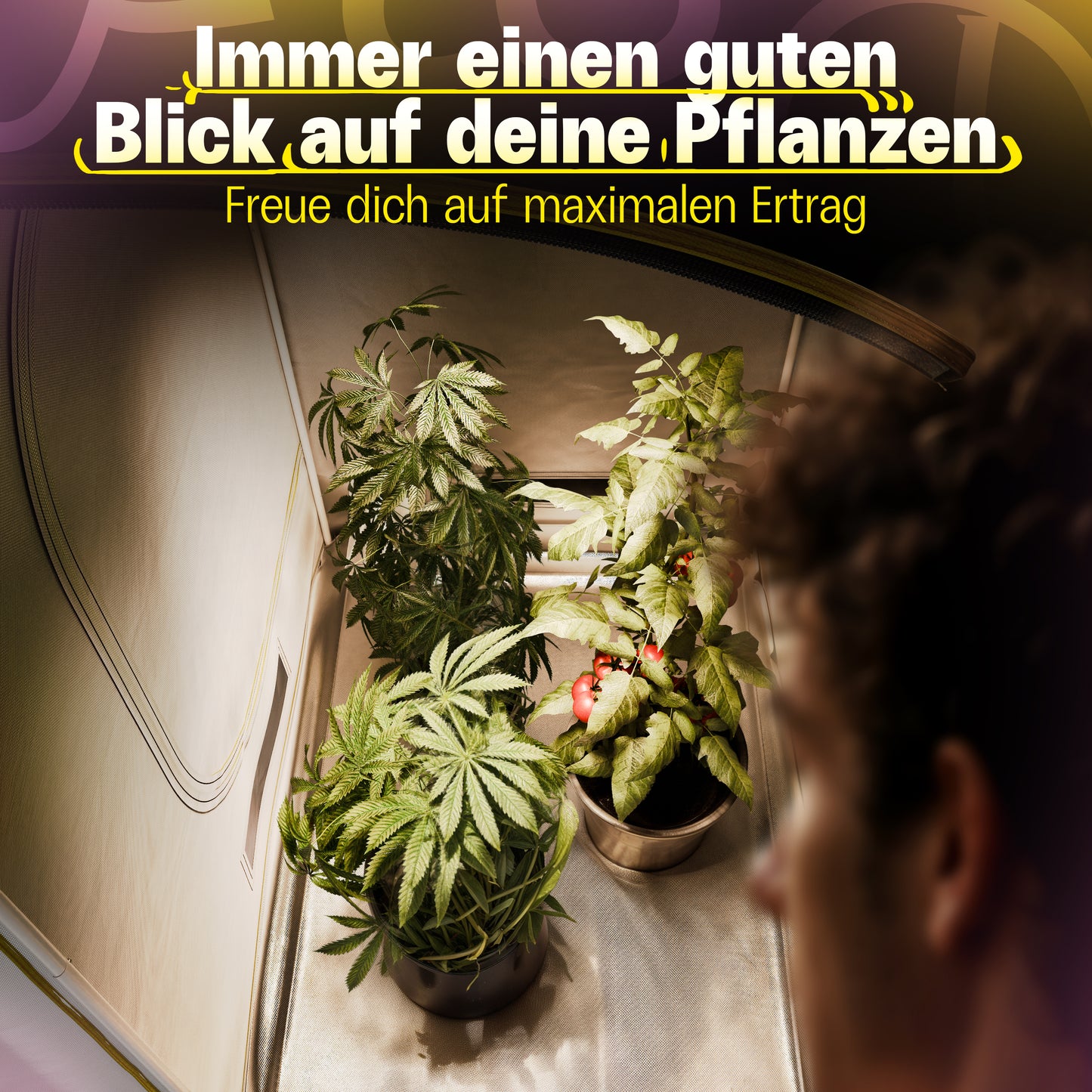 Growzelt 100x100x200cm | Indoor Grow-Box | 1680D Oxford Stoff, 100% Mylar-Reflekt, 400G PVC